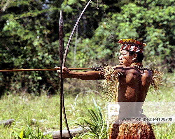 Indian, indio or indigenous warrior pointing a bow and arrow, Amazon, Iquitos, Peru, South America